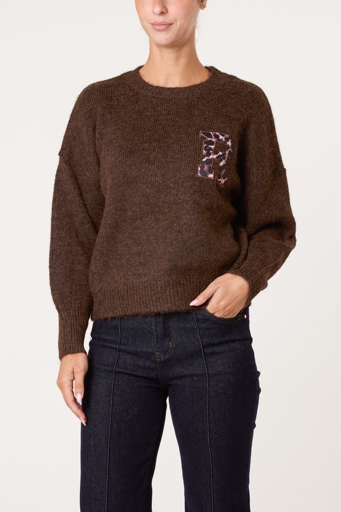 Animal "Harvard" Embroidery Knit Jumper - Downtown Girl
